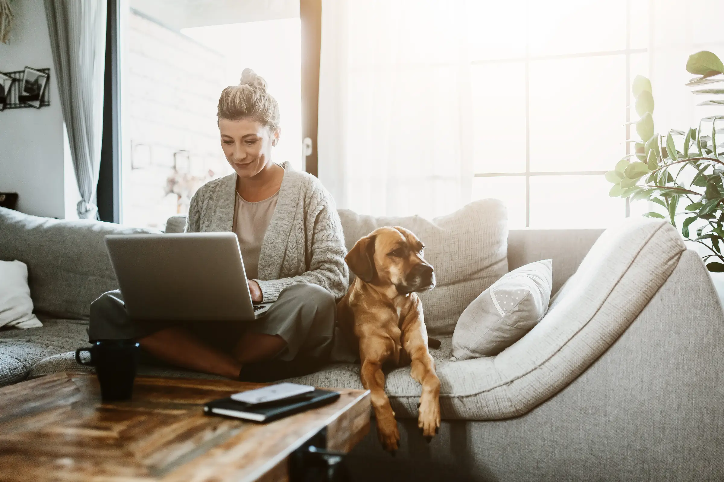 woman with dog researching finances - mortgage protection - doddl